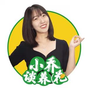 小乔谈养花头像