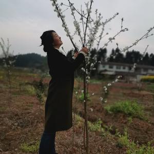 憨村花头像