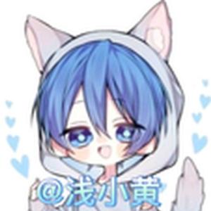 爷是浅小黄头像