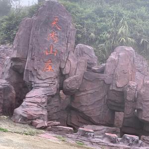 极速桃子6x9 头像