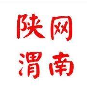 陕网渭南头像
