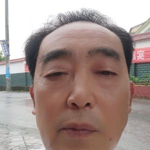 王东元头像