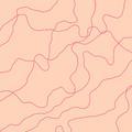 random_k头像