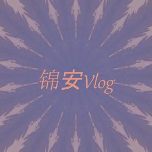 锦安vlog头像