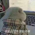 五元钱的粽子头像