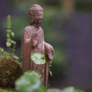 佛宝宝头像