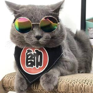 Rainbow小婉影视分享头像