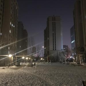 我叫准北头像