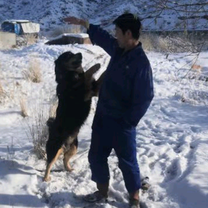 沃野头像