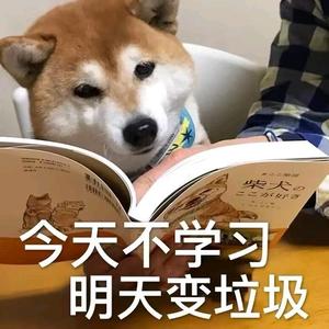 每日更新搞笑神评0h7n头像