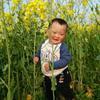 手机用户50225454192头像
