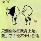 聪明发财虎头像