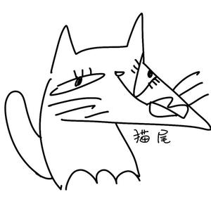 猫尾猫尾头像