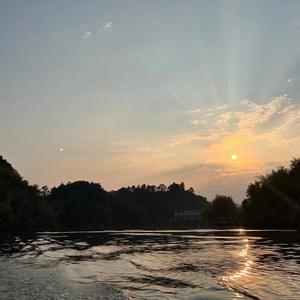 自由的橘子UEO头像