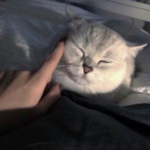 奋发冰淇淋lK头像