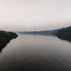 唐隆论市头像