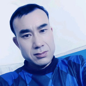 聪慧熊猫Lmln5头像