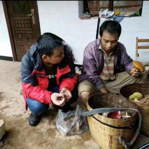药食记老褚头像