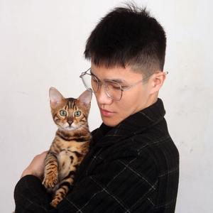 Fan子孟加拉豹猫头像