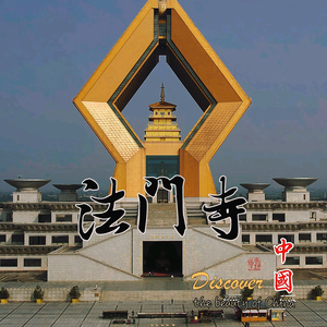 自己去发现头像