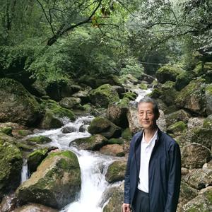 凡博大叔头像