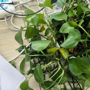 是不是换个名字头像