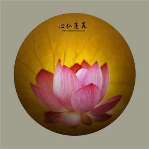 大简视界头像