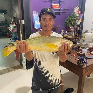 渔农小黑头像