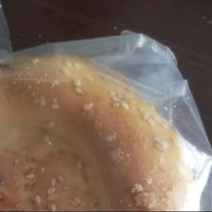 骆驼像子头像
