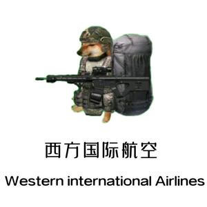 西方国际航空头像