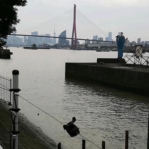 老黄瓜影视剧头像