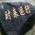 番茄101388302501头像