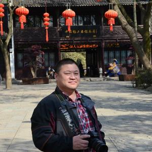 吉祥馬头像