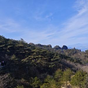 Yarns头像