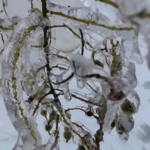雨中沐清欢头像