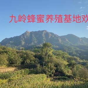 208拐赵振兴头像