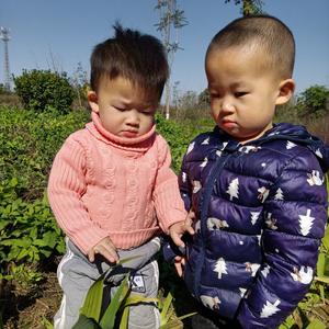 龙凤胎糖果妈妈要努力头像