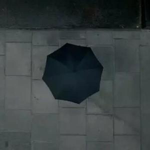 爱生活爱阿芳头像
