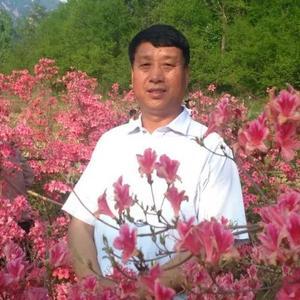 武功省工头像