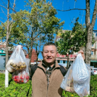 老奇菜市游头像