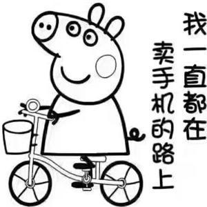 收机家华哥头像