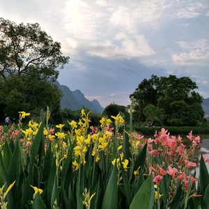 夏雨冰（宁静致远LE0剪辑）头像