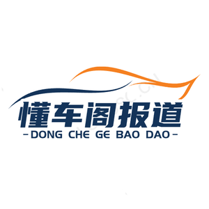 懂车阁报告头像