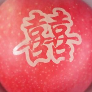 德智育日常头像