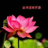 我是钱9U5Z头像