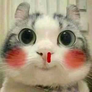 小钻风的恩希玛头像
