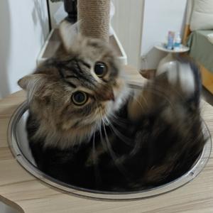 五百老剧回味头像
