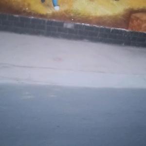 仁爱橙子m头像
