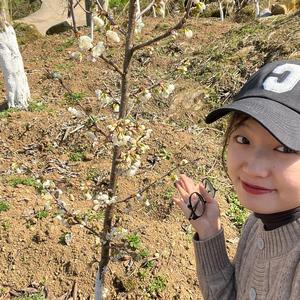 小李返乡日记头像