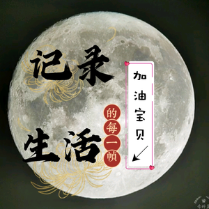 加油宝贝2V1x头像